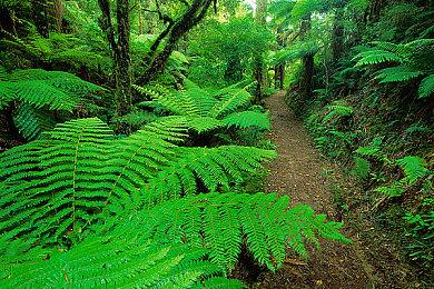 IW确认领衔开发《使命召唤19》