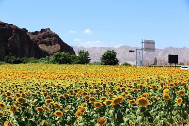 《半条命2》美术总监兼《耻辱》设计师去世